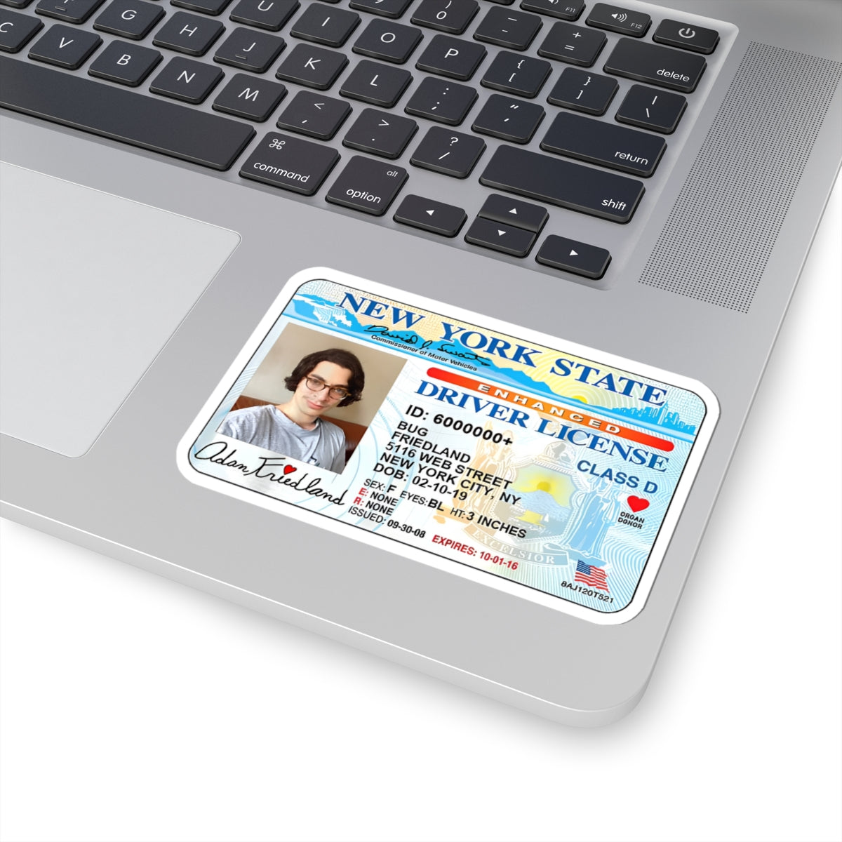 Adam Bug New York State Driver License Sticker