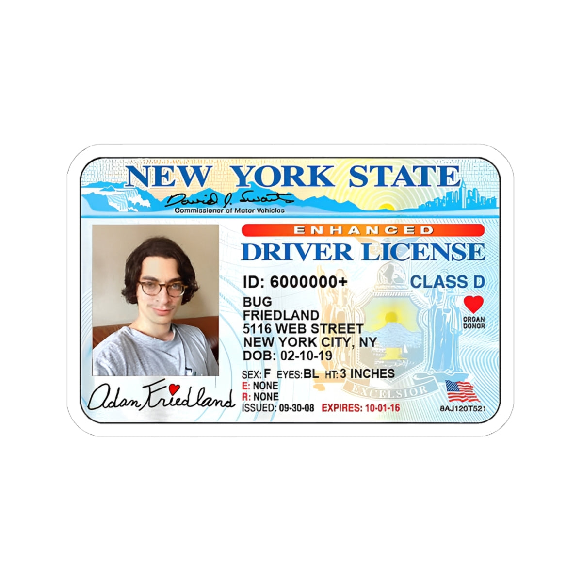 Adam Bug New York State Driver License Sticker