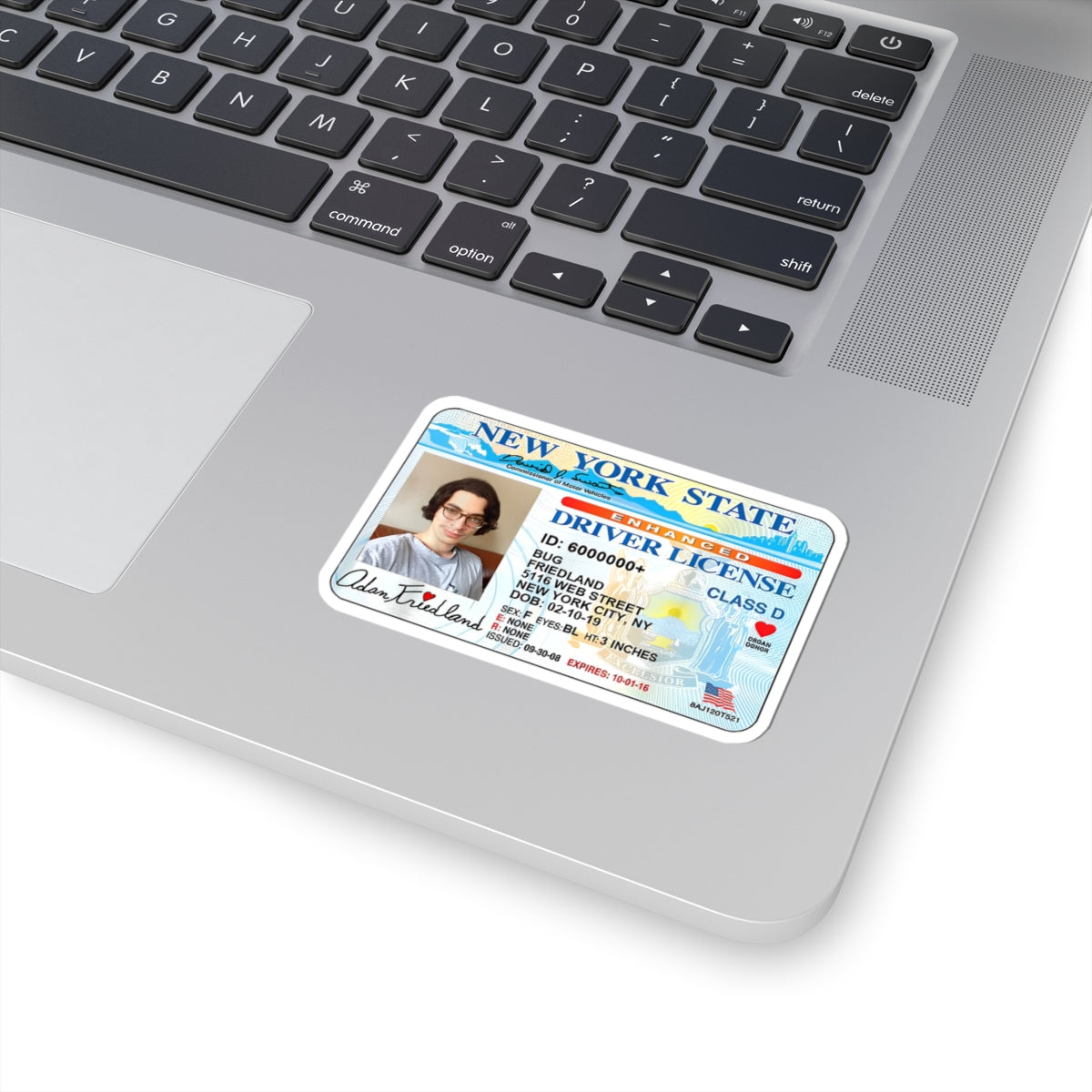 Adam Bug New York State Driver License Sticker